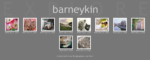 The Barneykin 10